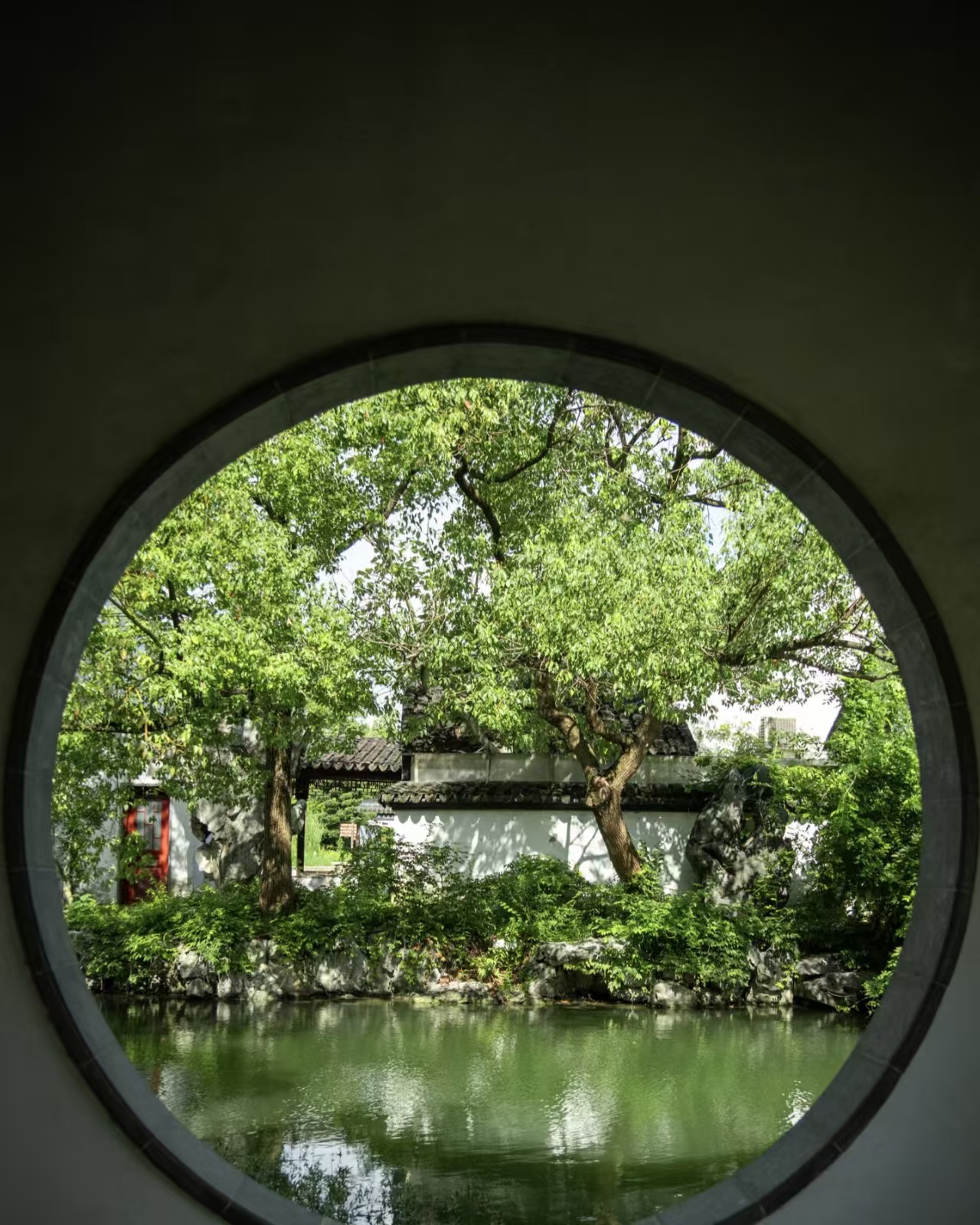 Untitled Suzhou Garden Travel Guide 🌸ost